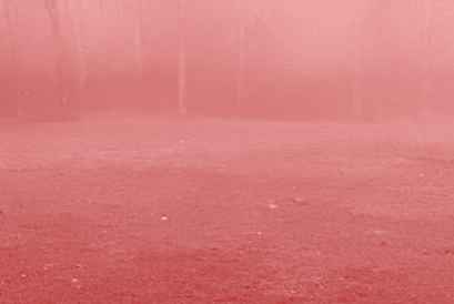 Christmas In the Woods (Jill&nbsp;Nelson)