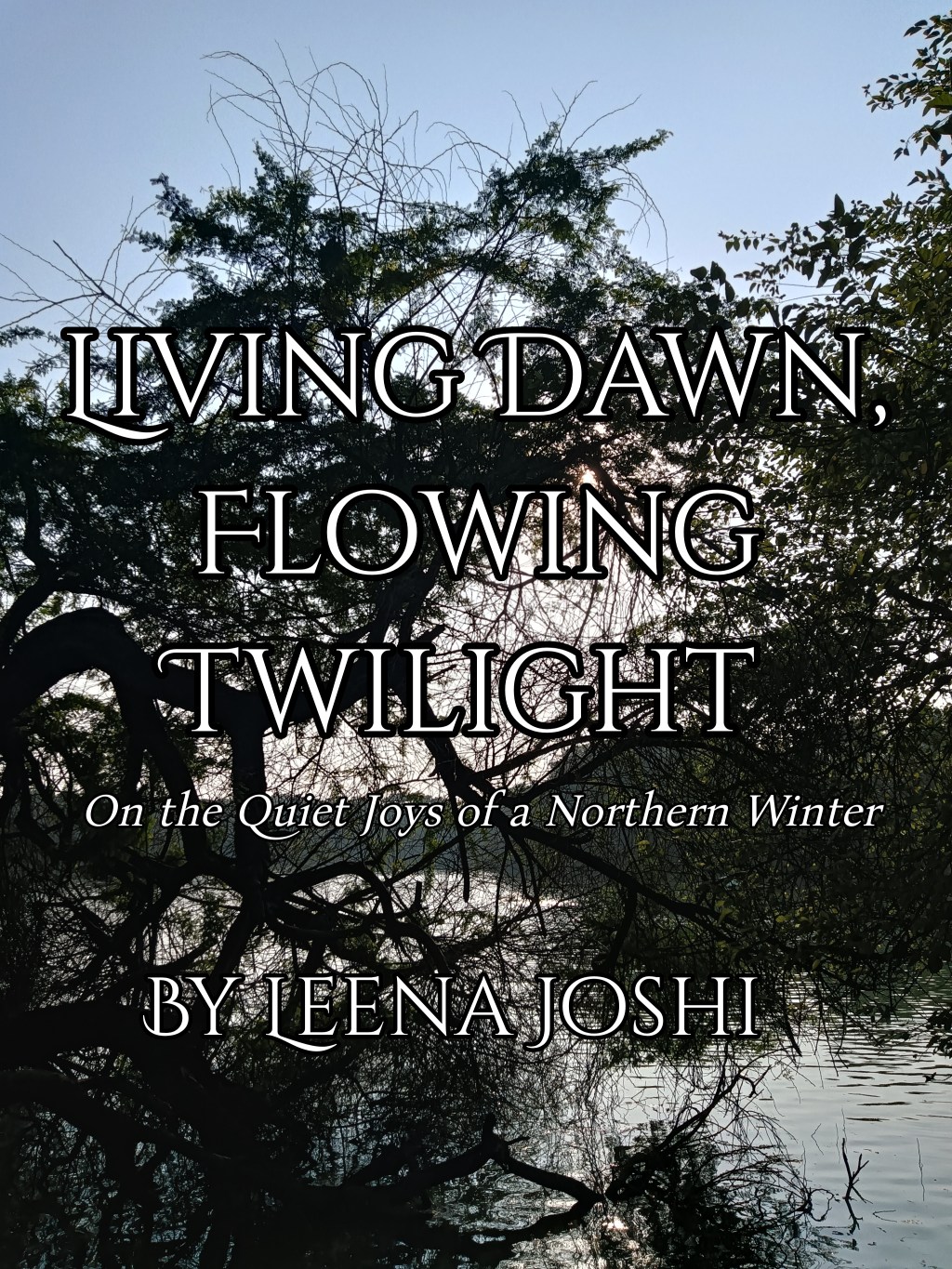 Living Dawn, Flowing Twilight (Leena Joshi)